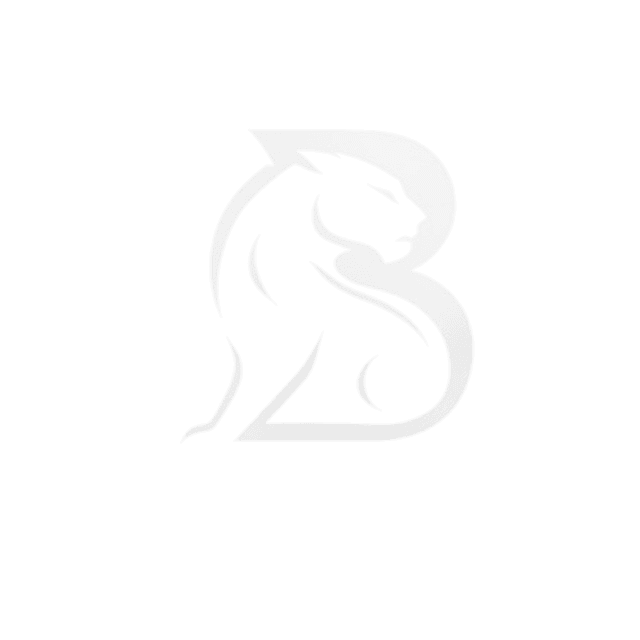 Brand Panther